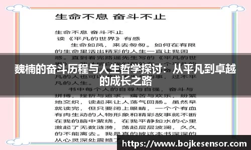 魏楠的奋斗历程与人生哲学探讨：从平凡到卓越的成长之路