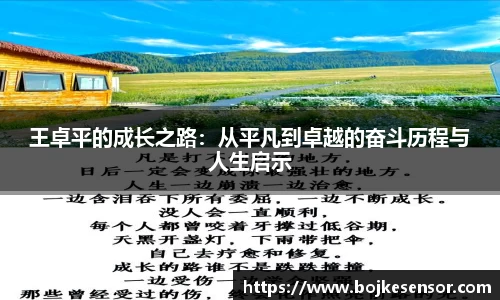 王卓平的成长之路：从平凡到卓越的奋斗历程与人生启示