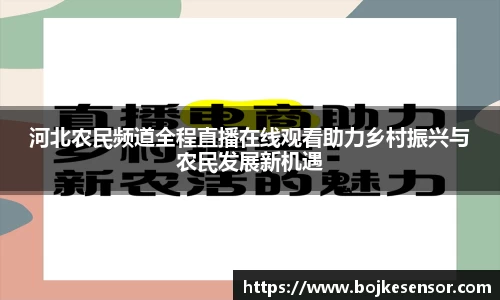 河北农民频道全程直播在线观看助力乡村振兴与农民发展新机遇