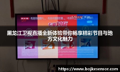 黑龙江卫视直播全新体验带你畅享精彩节目与地方文化魅力