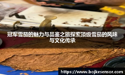 冠军雪茄的魅力与品鉴之旅探索顶级雪茄的风味与文化传承